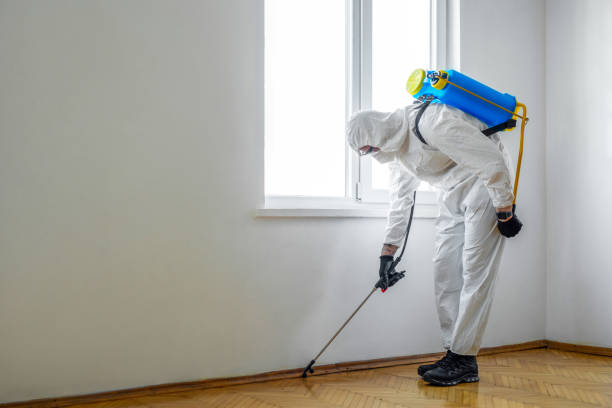 Best Pest Control for Warehouses  in USA